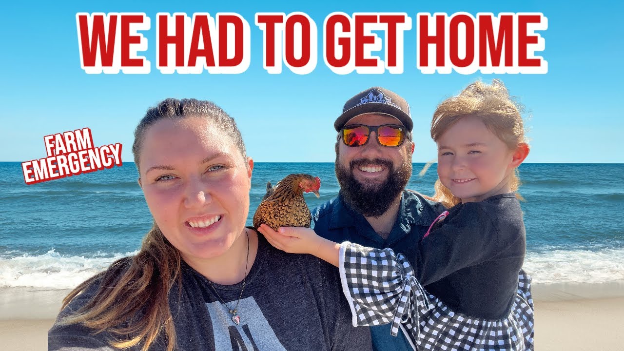 We didn't expect this to happen while we were gone! - YouTube