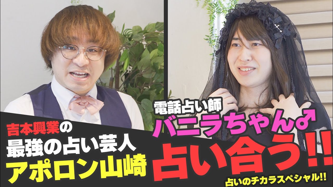 ピクシィ[Pixy]｜プロフィール｜バニラちゃん♂先生