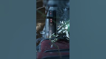 WEIRDEST warframe bug.. #warframe #shorts