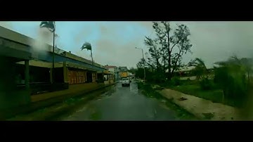 LOCAL REMEDY - PERSISTENT [Official Music Video]