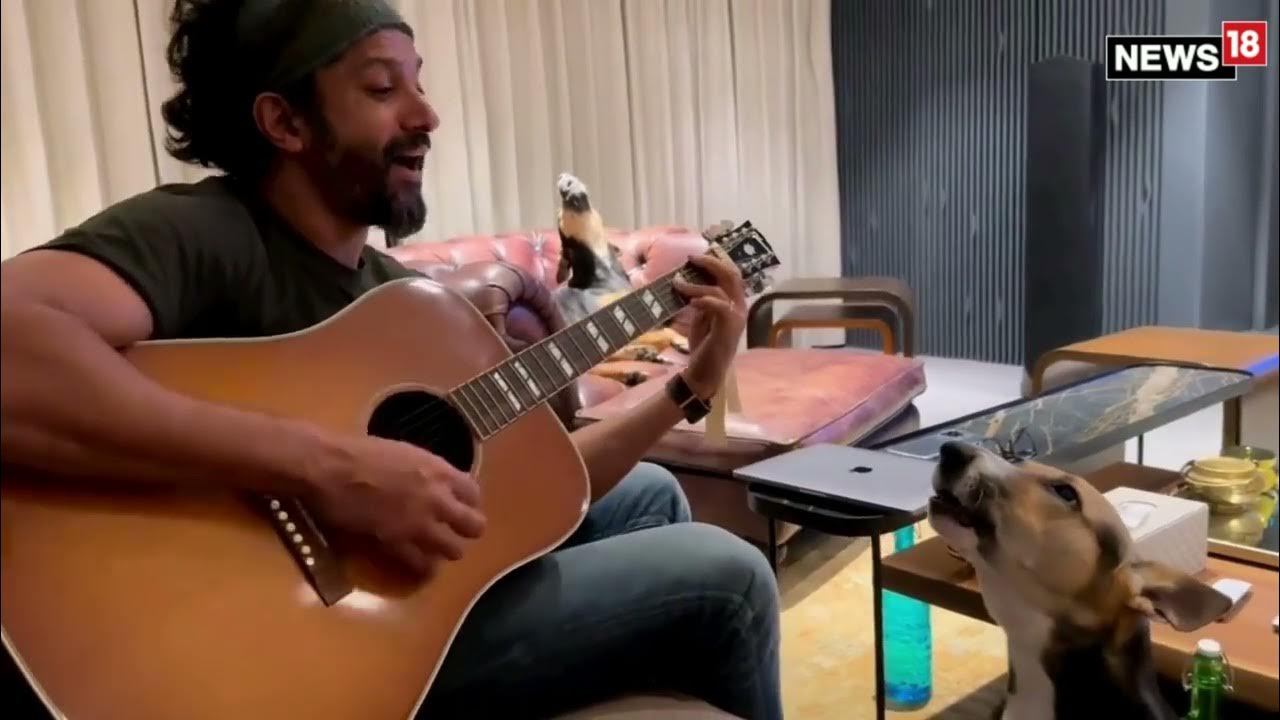 Actor Farhan Akhtar Does A Jamming Session With His Dogs viral 