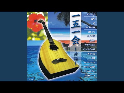 島人ぬ宝 (Instrumental)