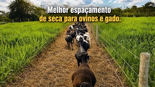 Passo a passo de como fazer a melhor cerca para ovinos e gado veja 