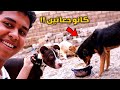 نزلنا انا وهانتر نأكل الكلاب البلدي في الشارع  وعملنا فيهم خير       حالتي