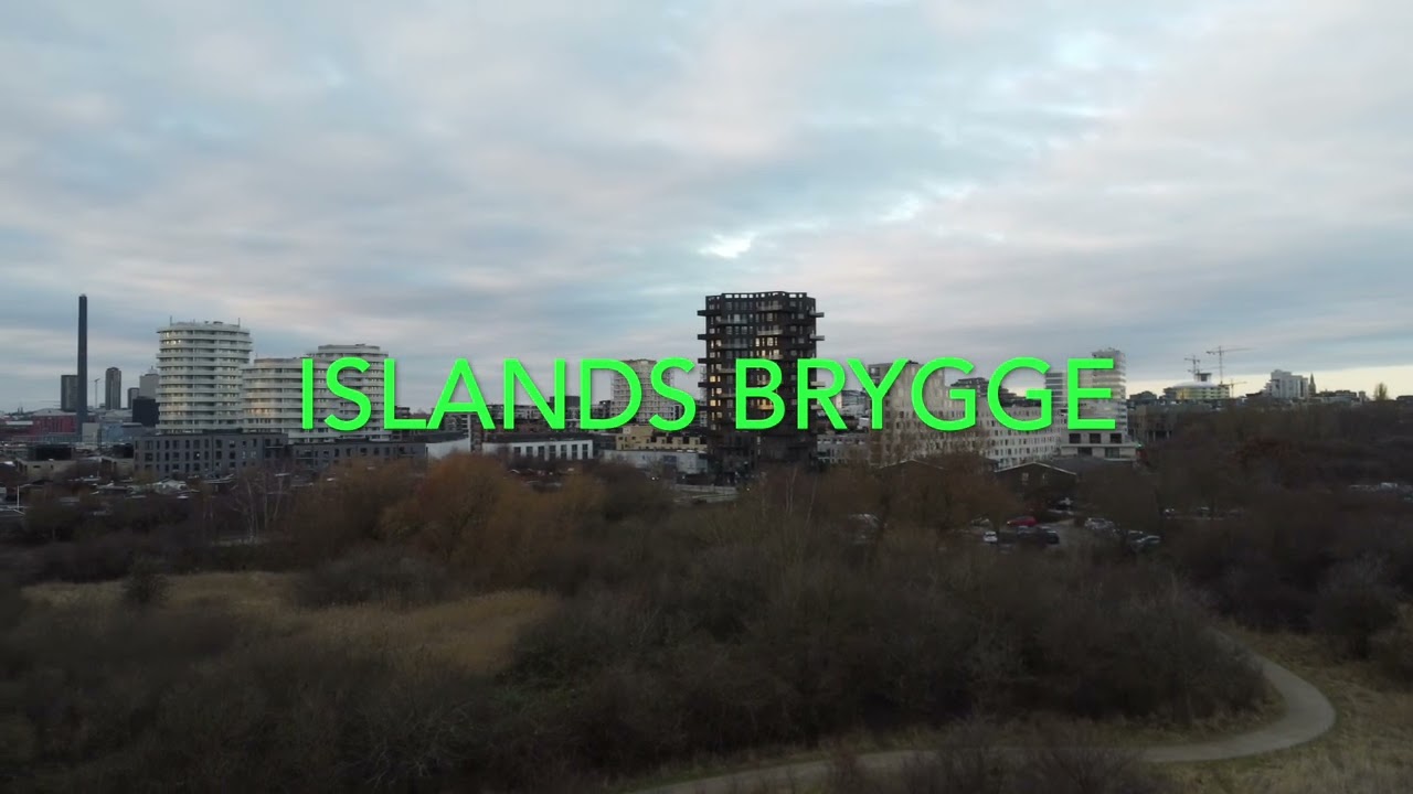 Amager Fælled 13022023