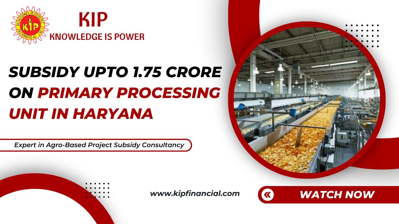 Primary Processing Units in Haryana | Govt. grants on Primary Processing Units | Subsidy Consultant
