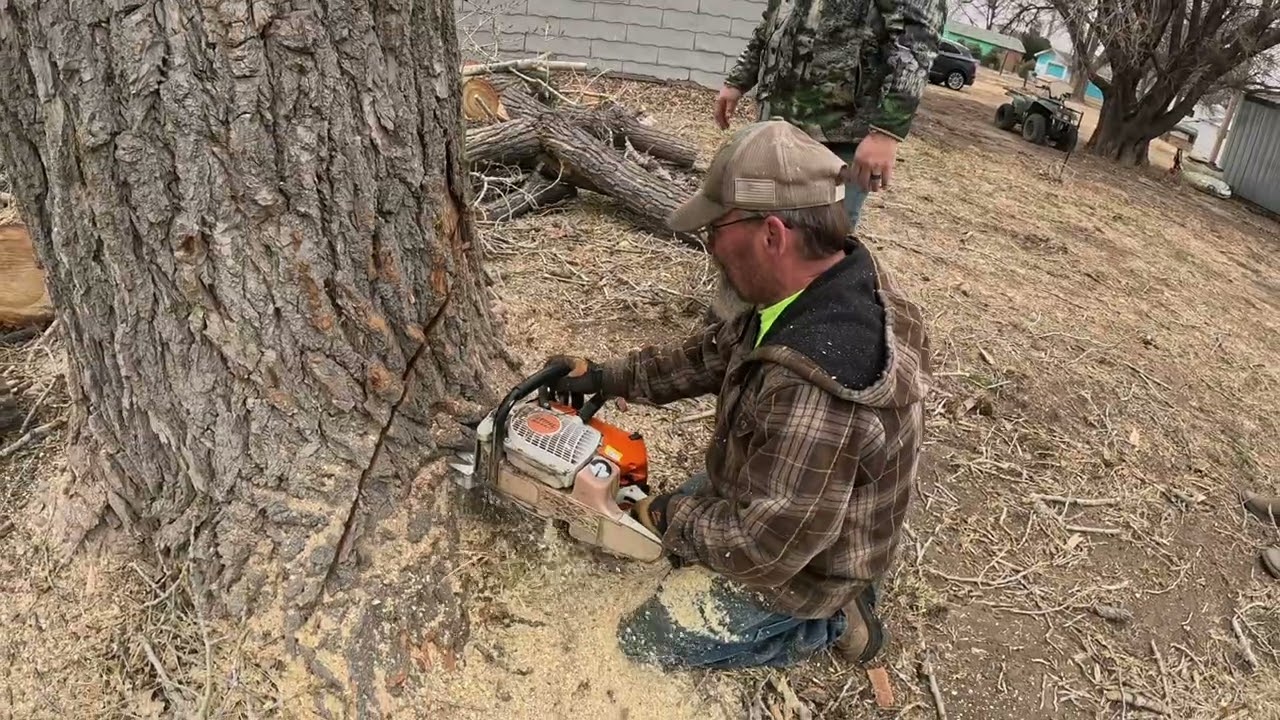 Welcome to our channel! 