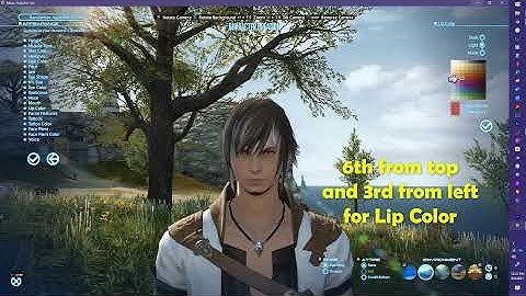 FFXIV Character Creator - Male Midlander Hyur #1