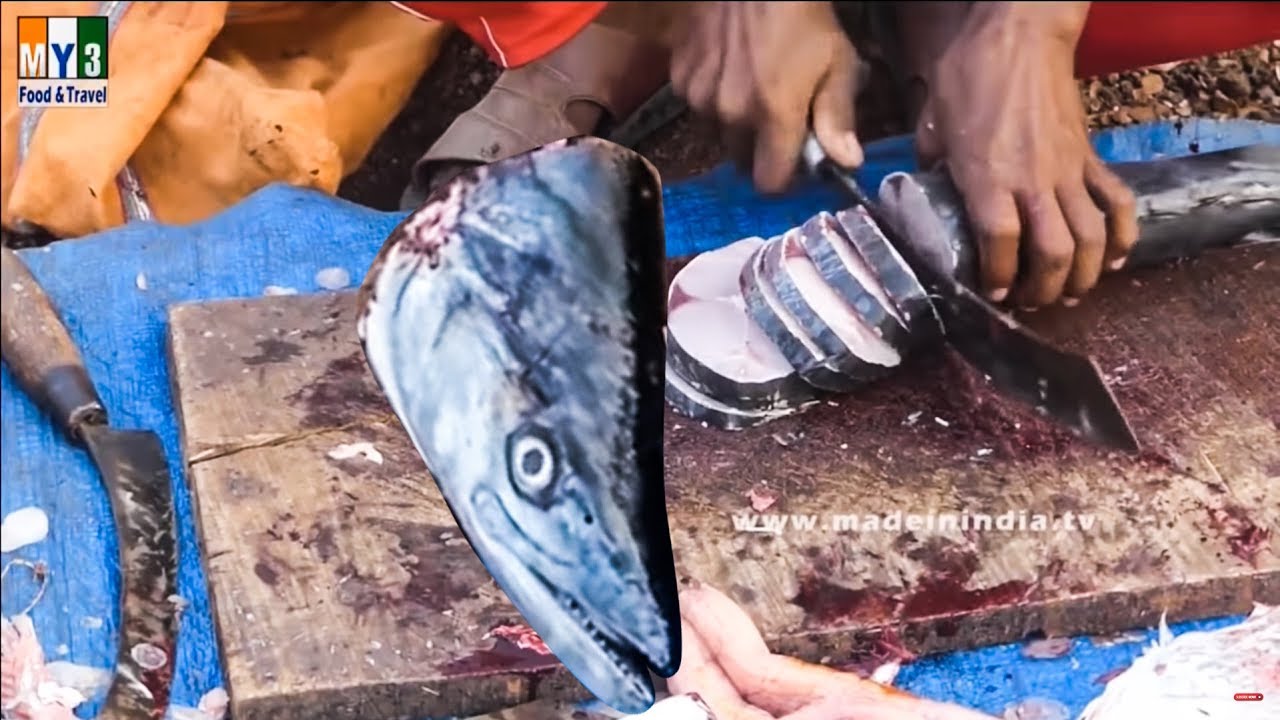 Fastest Fish Cutting Ever 30 Minutes Fish Cutting street food | STREET FOOD