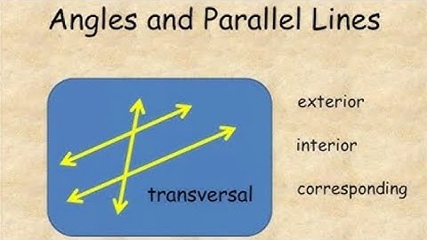 parallel and perpendicular lines