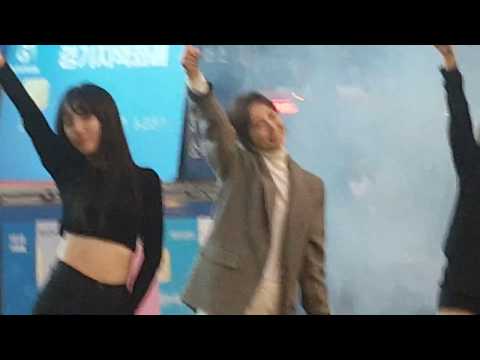 거북이[금비]- 비행기 20191027 성남