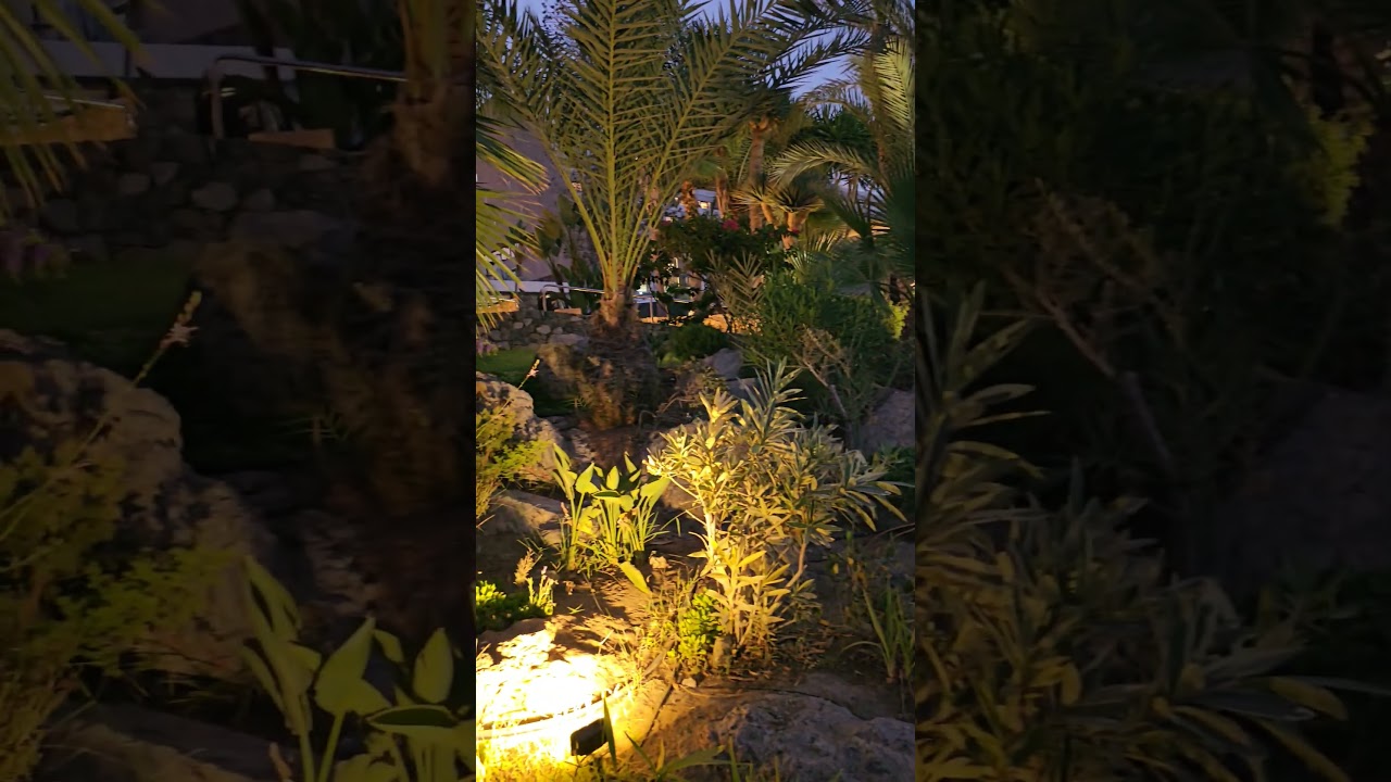 Golden Hour Walk 🇨🇾 | Sunset Near Grand Resort, Limassol Promenade 