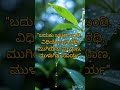 #motivationa 😌#kannada songs#comptative#Manasa spark
