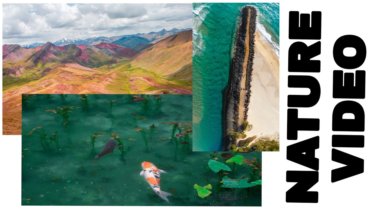 Nature photos video clips
