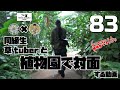 【塊根植物/アガベ】#83 - 同級生草Tuberと植物園で対面する動画【コラボ】