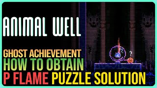 How to Get P Flame Solution - Animal Well