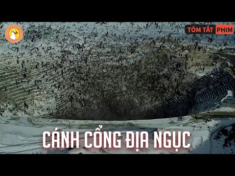 Video: Thanh trùng có giết chết tất cả mọi thứ không?