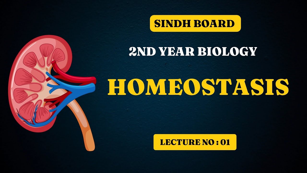 homeostasis | introduction | chapter 15 | class 12 biology | Sindh board new book