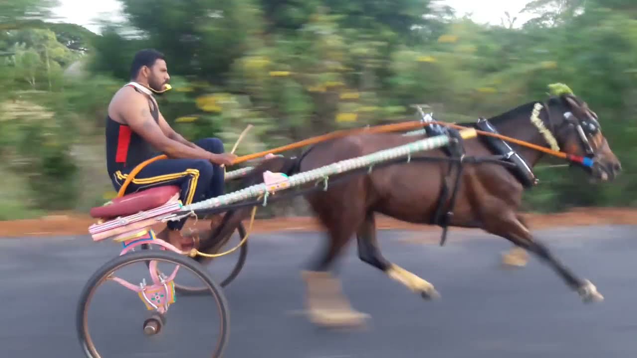 Horse cart race kollapuram part4 YouTube