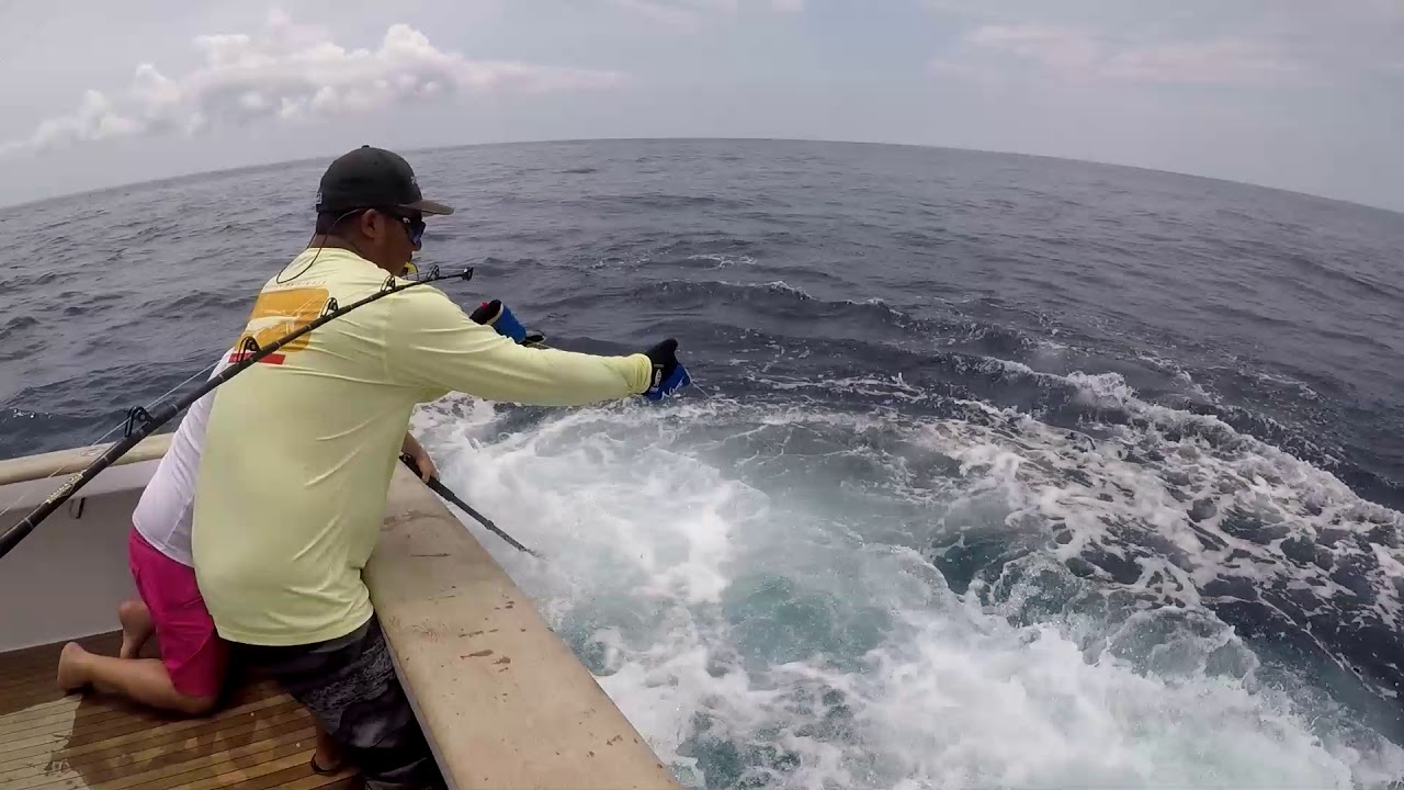 2018 Offshore World Championship | Mauritius Int'l Billfish Release Tournment | Pacific Sailfish