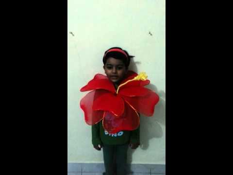 Best 25  Flower costume ideas on Pinterest | Fairy skirt, Hoop ...