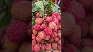 mini video 03/360#wral#tranding #shotts ................ video #shoport #me