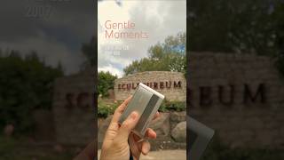 🌿  Private Garden with a 2007 Sony DSC-T20 Digicam #ccd #digicam #sonycybershot #sony