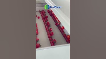 Cherry tomatoes cleaning and grading machine；Fruits washing and grading machine;
