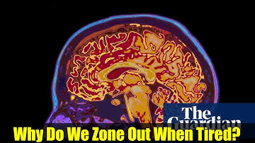 Why Do We Zone Out When Tired? | Brain Scans Reveal Surprising Findings