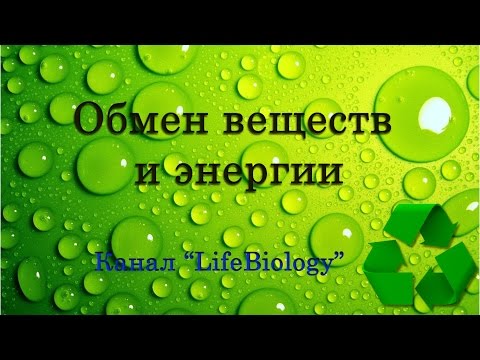 Обмен веществ и энергии