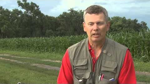 Soil Quality Measurement