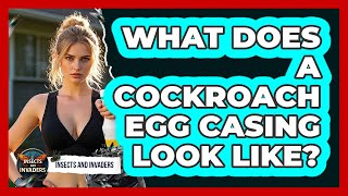 Famous What Does A Cockroach Egg Casing Look Like? - Insects and Invaders Wealth