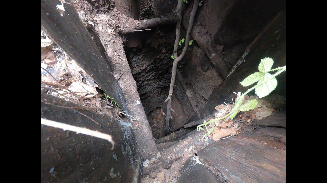 Wyprawy Leona- Co kryje zagadkowy szyb w lesie?