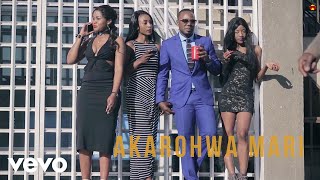 Stunner - Akarohwa Mari ft. Ba Shupi, DJ Towers