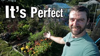 The Allotment Garden is Thriving | Just Beautiful