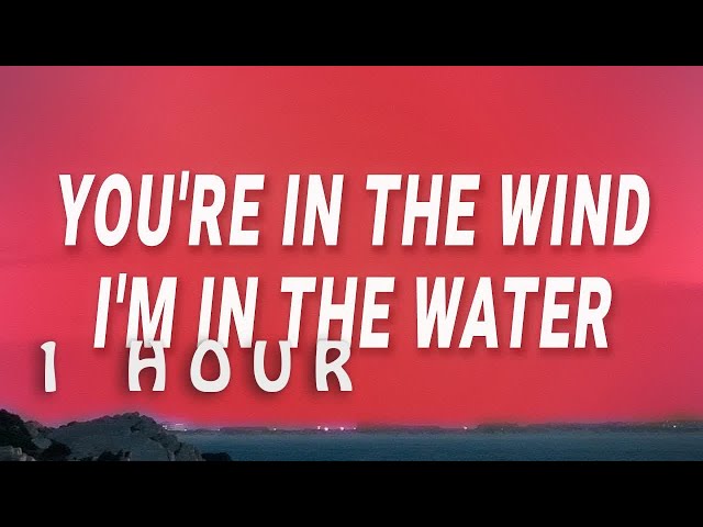 [ 1 HOUR ] Lana Del Rey - You're in the wind I'm in the water Chemtrail Over The Country Club (Lyri class=