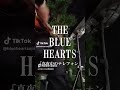 真夜中のテレフォンTHE BLUE HEARTS #大阪ヒロ #ブルーハーツ #ブルーハーツおじさん #真夜中のテレフォン #shorts