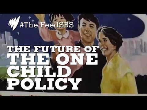 the feed contains test content The Future Of China's One Child Policy I The Feed