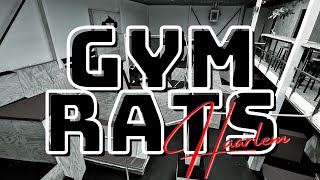 Gym Rats V | Haarlem