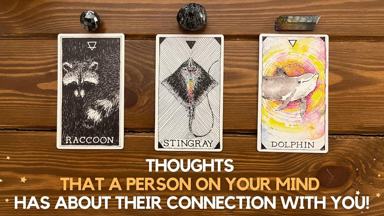 Thoughts That A Person on Your Mind Has About Their Connection With You! ✨🤔🫧✨ | Timeless Reading