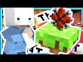 【 Minecraft | 秘森傳奇 】#41 生怪效率太高導致遊戲崩潰❗️回朔將我的心血全部移除😭