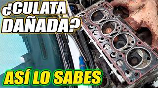 💥JUNTA de CABEZA DAÑADA 🔵 CUIDADO Así Salvas tu MOTOR✔