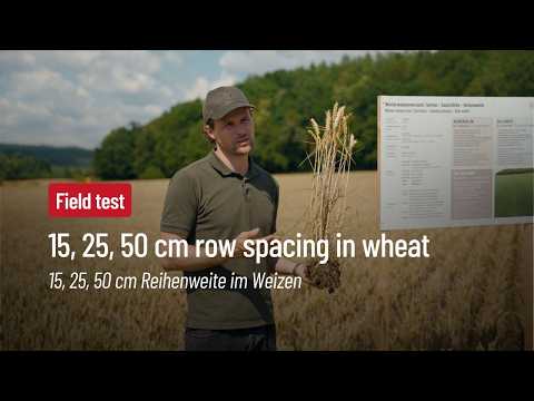 Weizen mit 15, 25 oder 50 cm Reihenweite? Praxisversuch bei HORSCH mit detailliertem Überblick