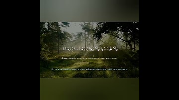 تلاوة خاشعة ومؤثرة من القران الكريم بصوت القارىء ماهر عرار حالات واتس اب دينية قصيرة