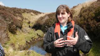Water Chemistry in Rivers 3: pH and Conductivity