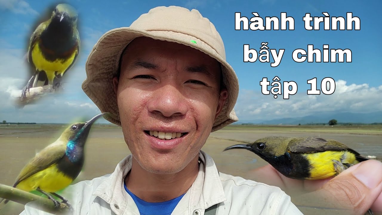 Hành Trình Bẫy Chim Tập 10 | Chuyến Đi Cực Xa Săn Tìm Chim 5 Màu Zin