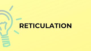 What is the meaning of the word RETICULATION