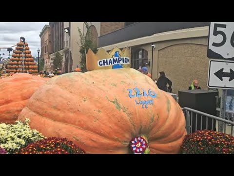 Circleville Pumpkin Show