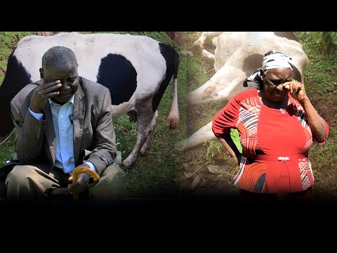 Video: Wapi kuua wahalifu?