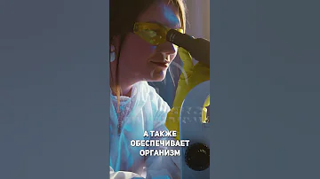 Альбумин